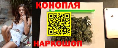 прущие грибы Жуковский