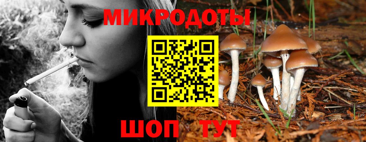 цена   Галлюциногенные грибы Psilocybe  Вход с VPN  Муром  Псилоцибиновые грибы прущие грибы 
